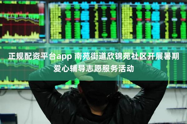 正规配资平台app 南苑街道欣锦苑社区开展暑期爱心辅导志愿服务活动