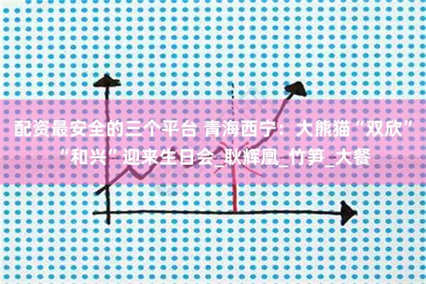 配资最安全的三个平台 青海西宁：大熊猫“双欣”“和兴”迎来生日会_耿辉凰_竹笋_大餐